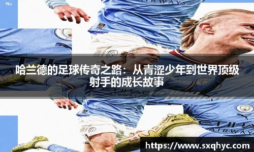 易游体育