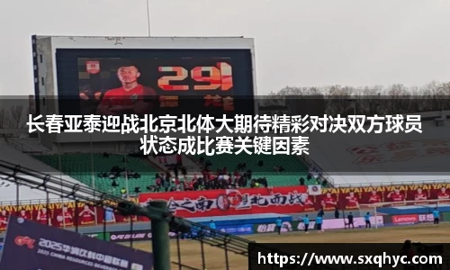 yy易游